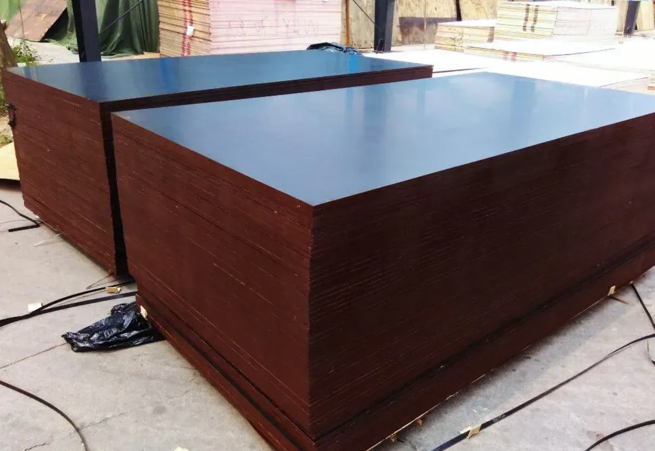 Ռուսական Շինարարական ֆաներա Լամինացված