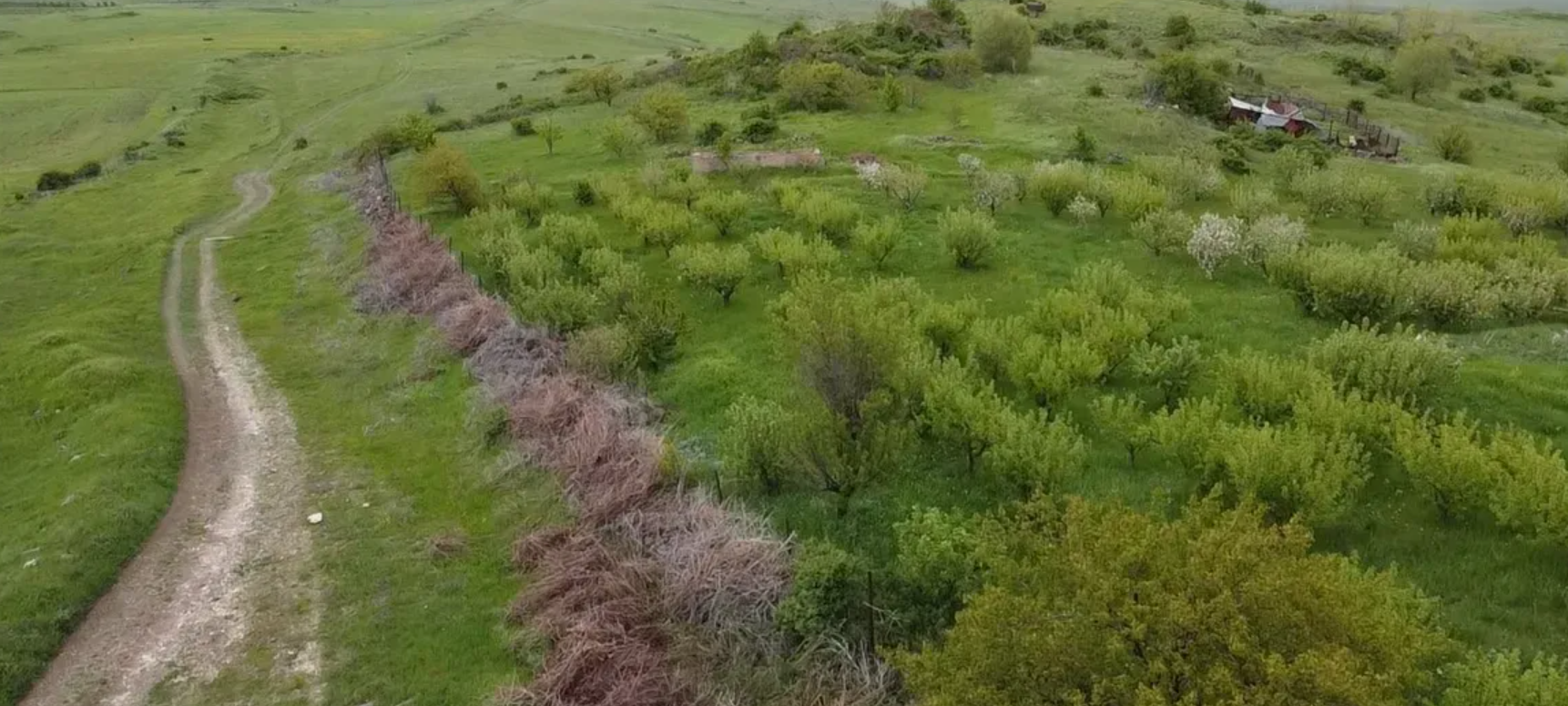 Ճյուղ հավաքող, այգեգործ, այգու խնամք