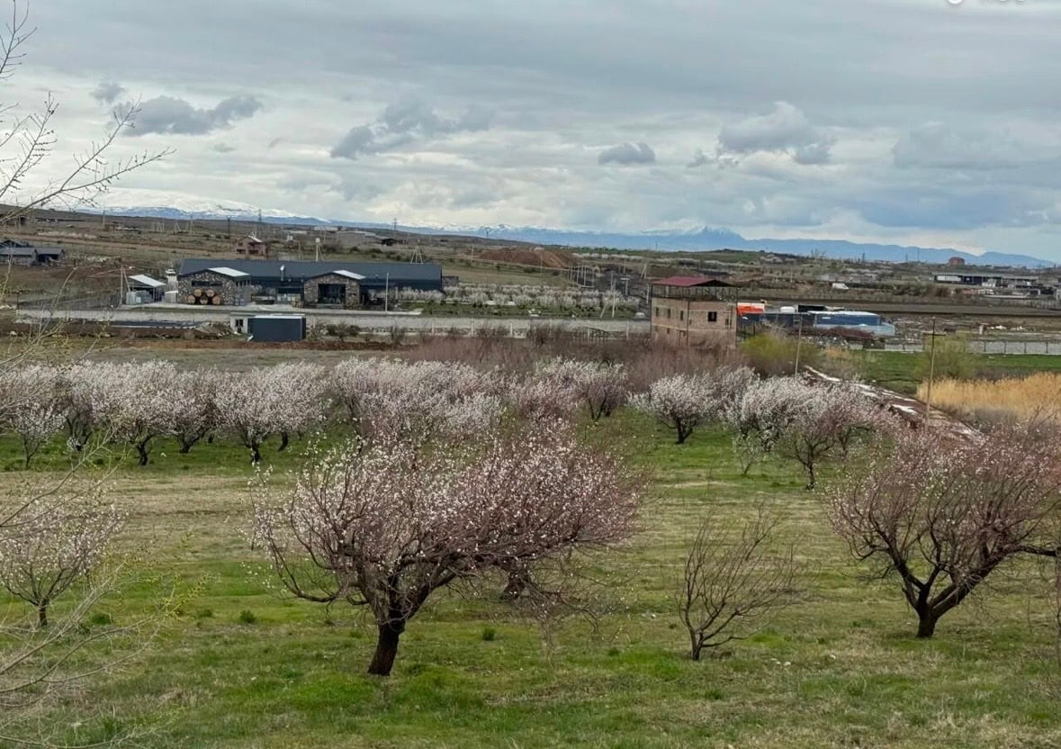 Գյուղատնտեսական հողատարածք Աշտարակում