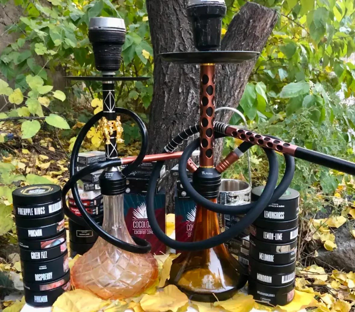 Avenue Hookah-Վարձույթ Նարգիլեների (24/7) Պատրաստի նարգիլե, Աренда кальянов, Rent Shisha, Kalyan, Kalyani, Nargila