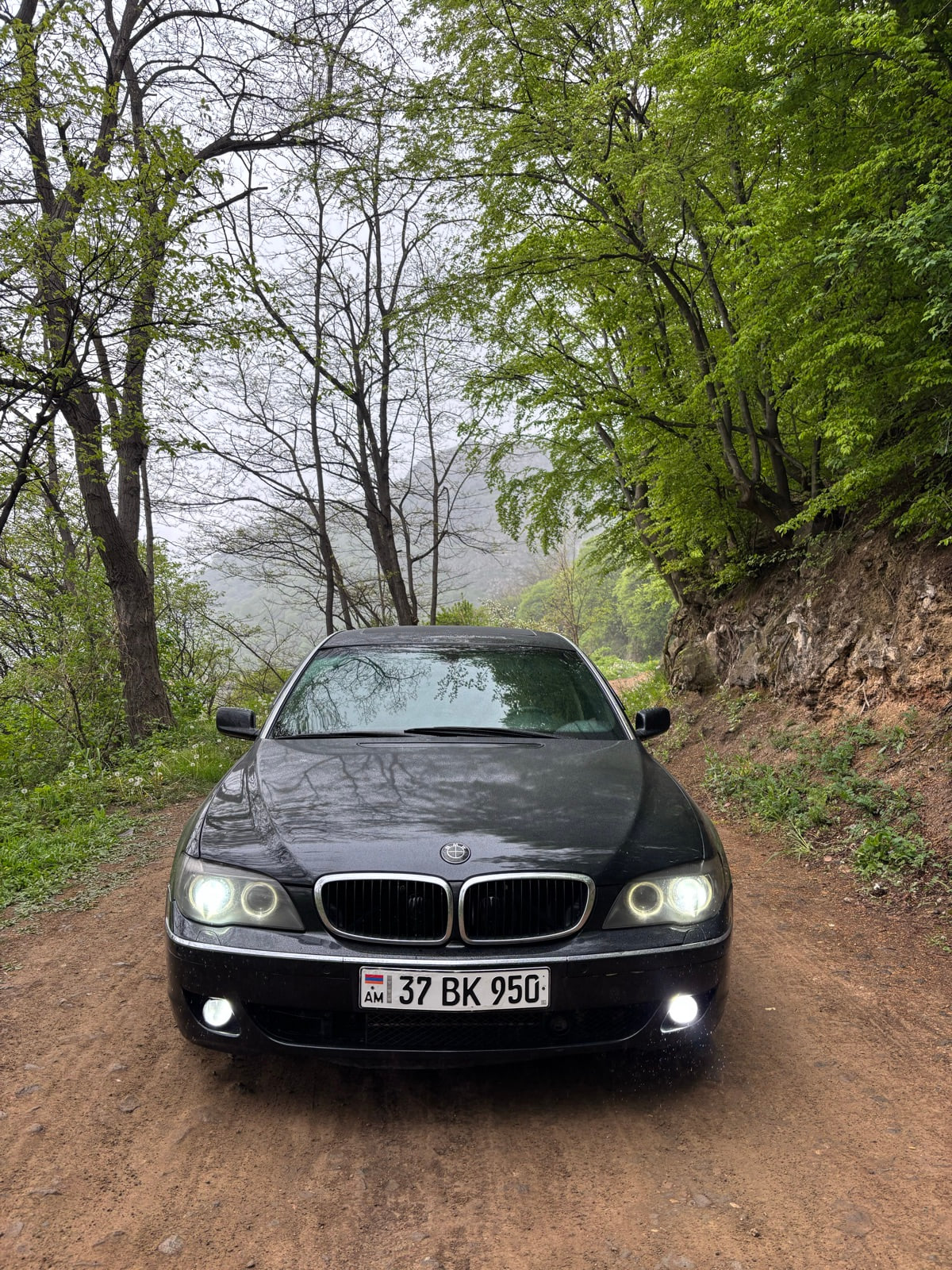 BMW 750 LI (e65/66)