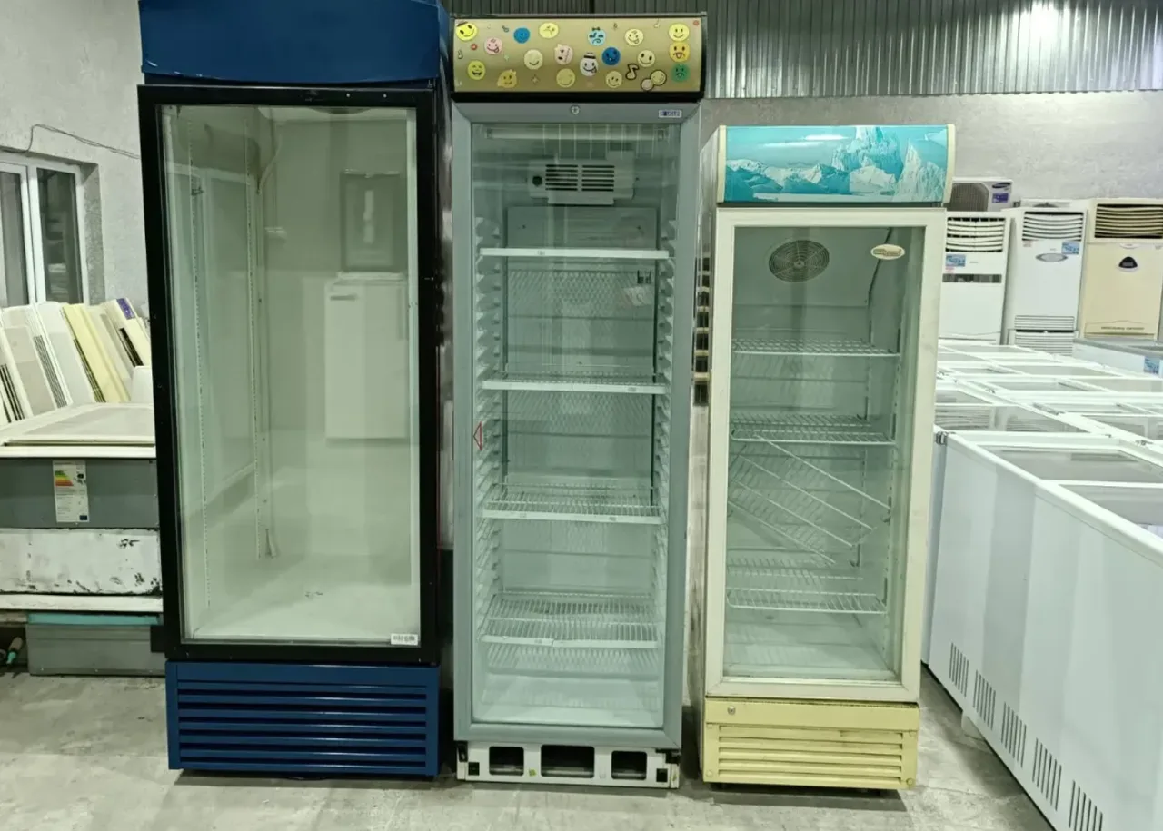 KlEO Ֆիռմայի D54231 – Սառնարան Երաշխիք` 1 ամիս