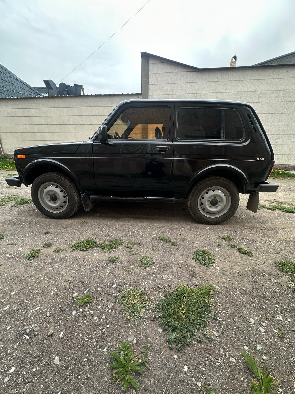 Niva 2006