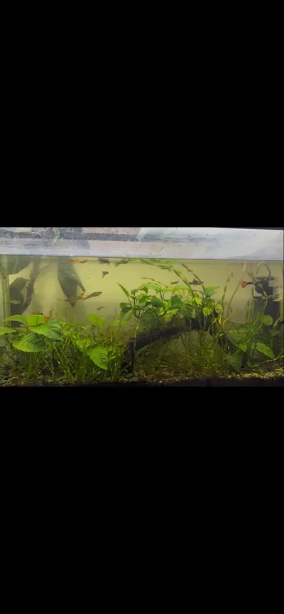 Ready-made aquarium for sale, or offer an exchange