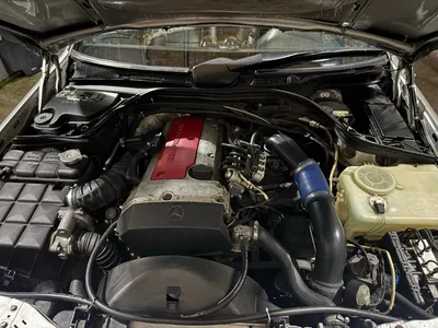 W202